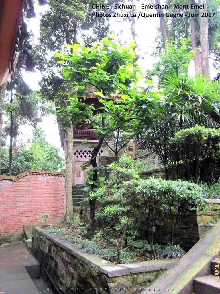 Emeishan 056.JPG